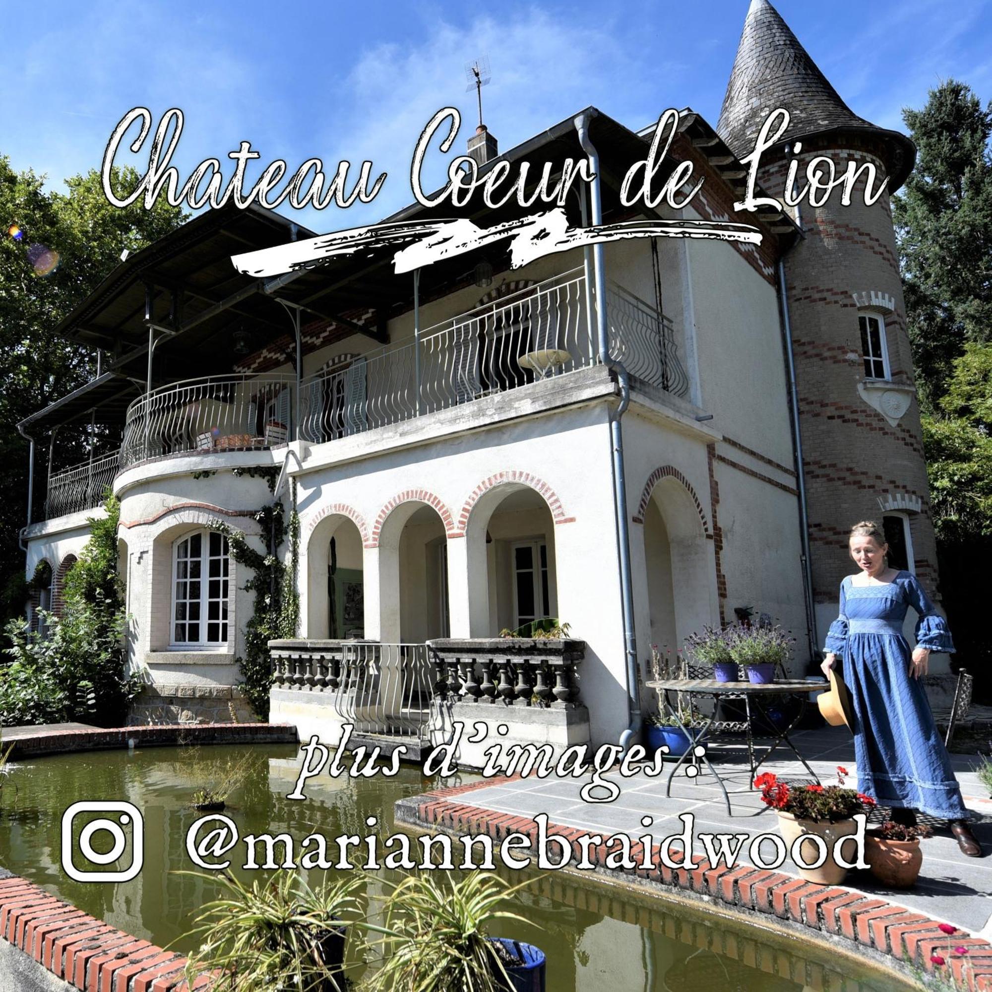 Chateau Coeur De Lion Chateauponsac Екстер'єр фото