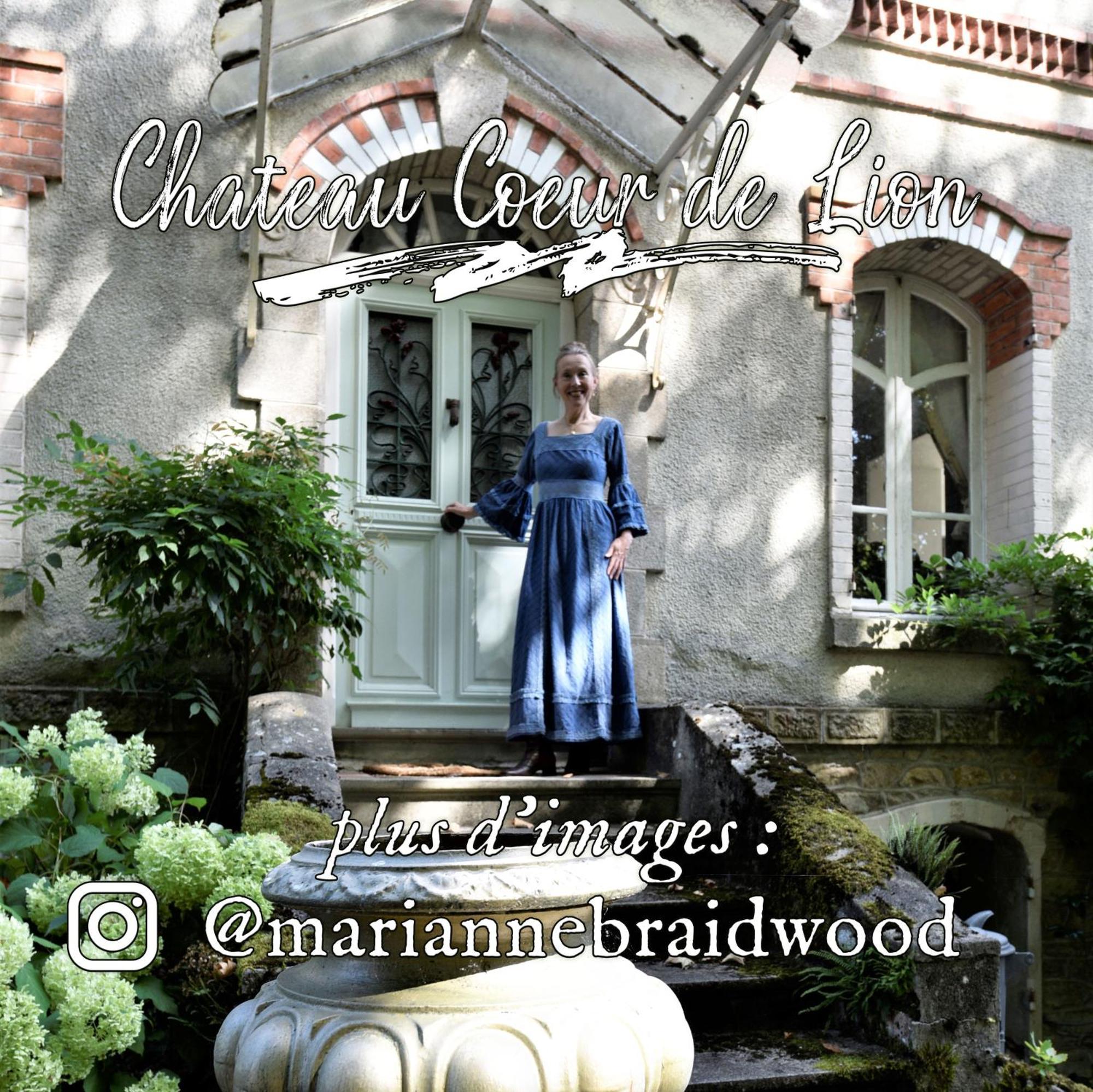 Chateau Coeur De Lion Chateauponsac Екстер'єр фото