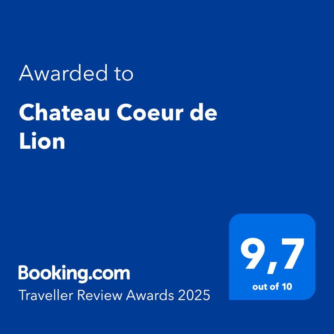 Chateau Coeur De Lion Chateauponsac Екстер'єр фото